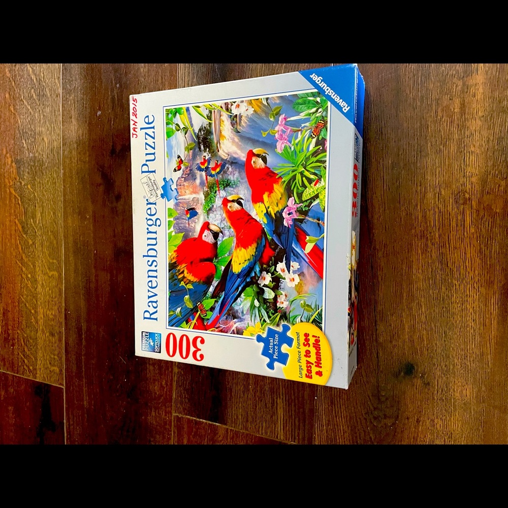 300 piece Ravensburger puzzle